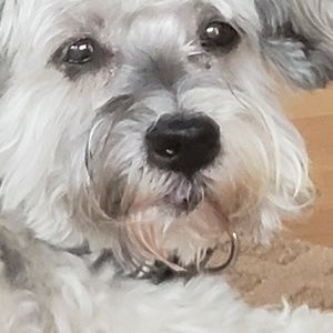 Meet your Posher, Maureen